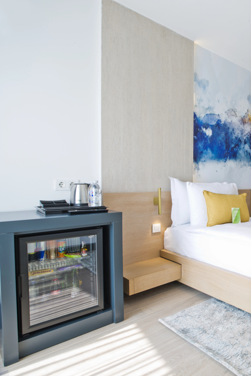 Standard Double room with city view (full double bed)