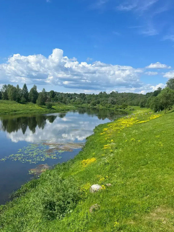 Частный дом Веселые гуси 5 - фото 19