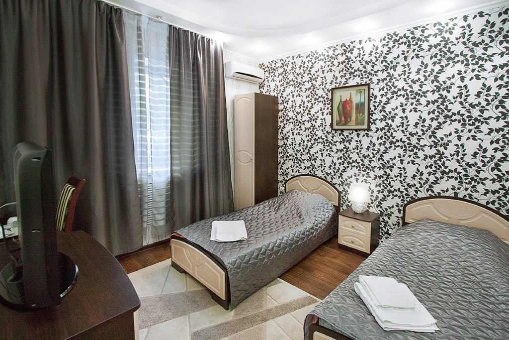 Standard Double room (twin beds)