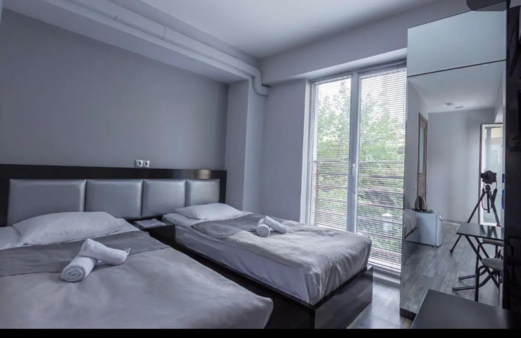 Standard Double room (twin beds)
