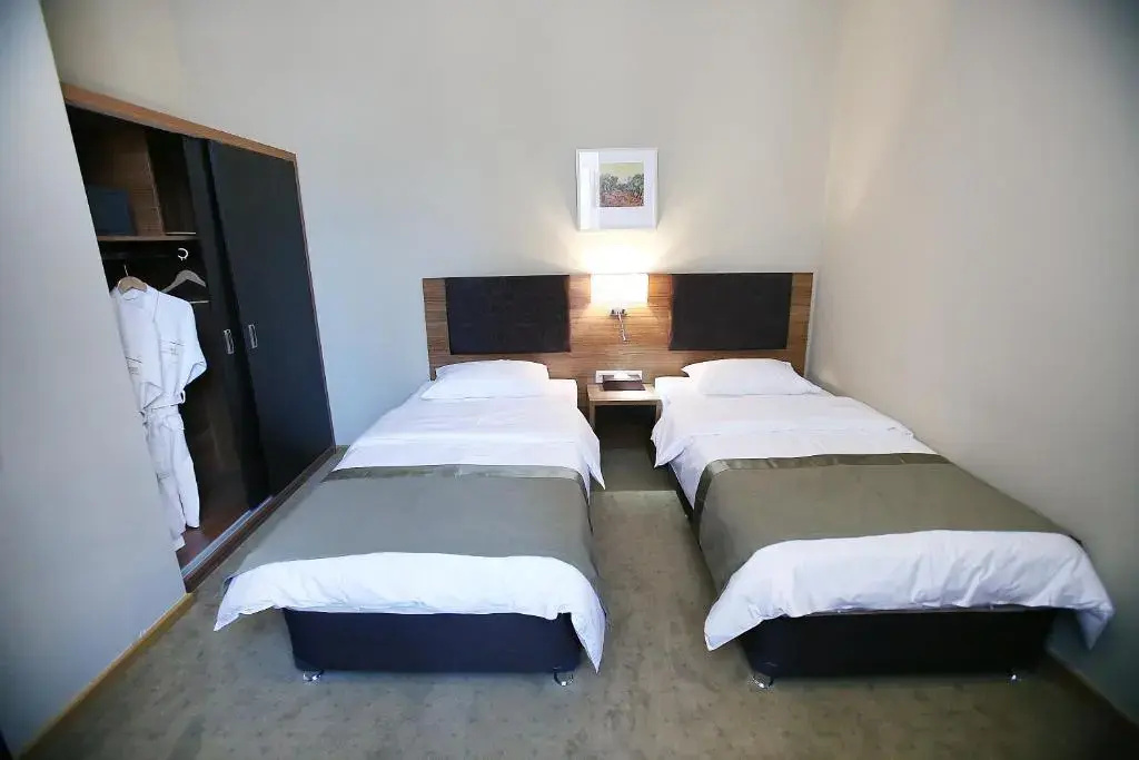 Deluxe Double room with balcony (full double bed)