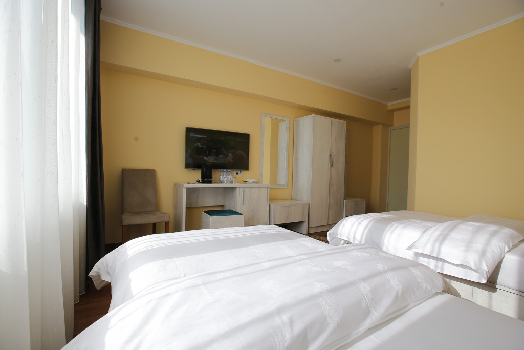 Двухместный номер Comfort 2 отдельные кровати в Altai Business Hotel