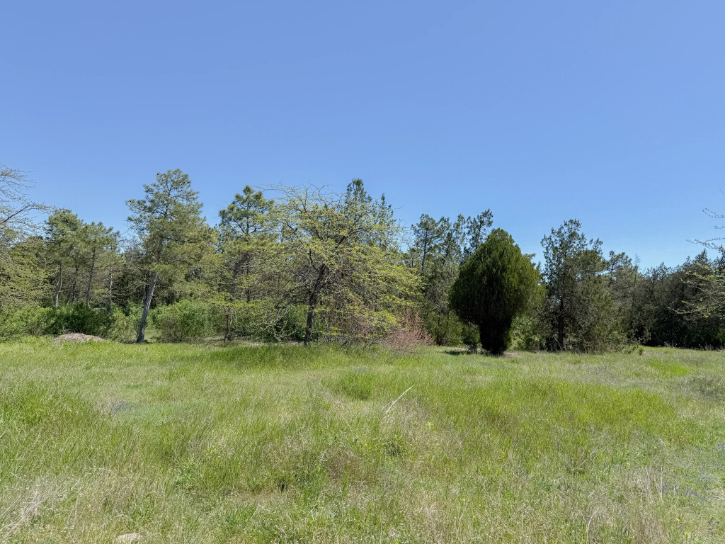 Частный дом Усадьба Тишины - фото 16