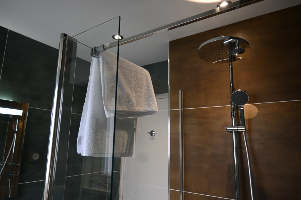 Hotel LOGIS Hôtel Borel - Chambres