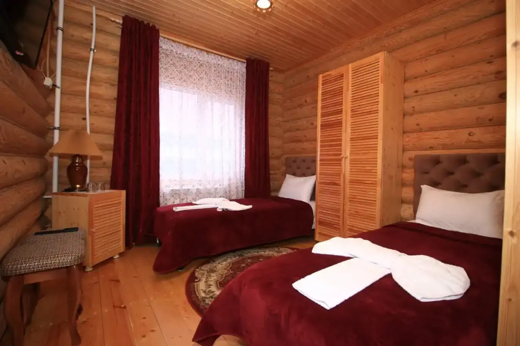 Standard Double room with mountain view (twin beds)