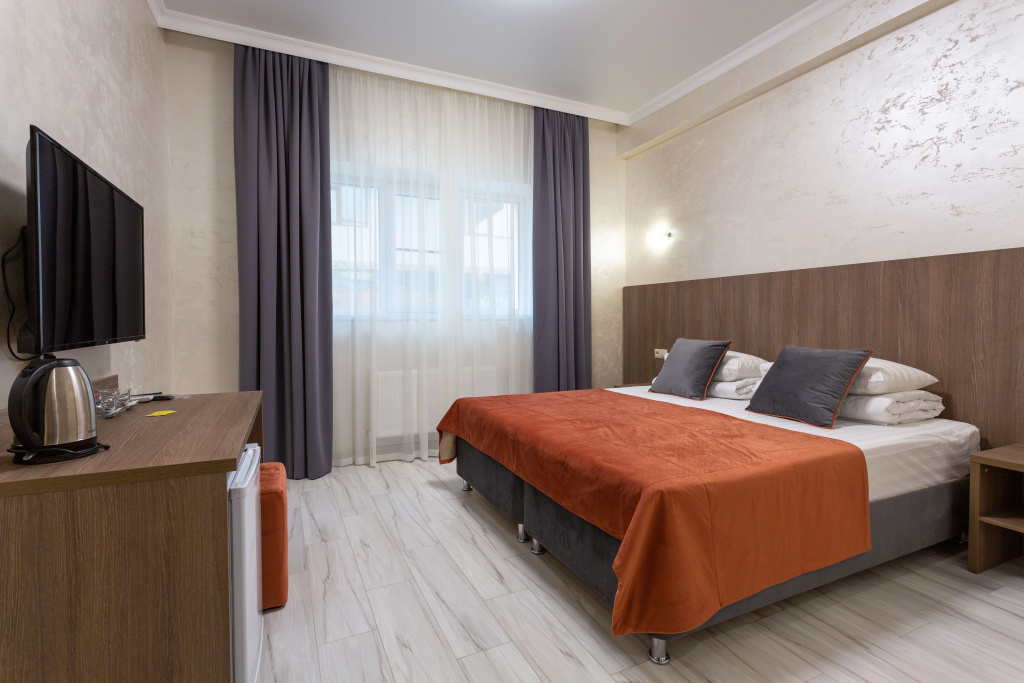 Standard Double room (full double bed)