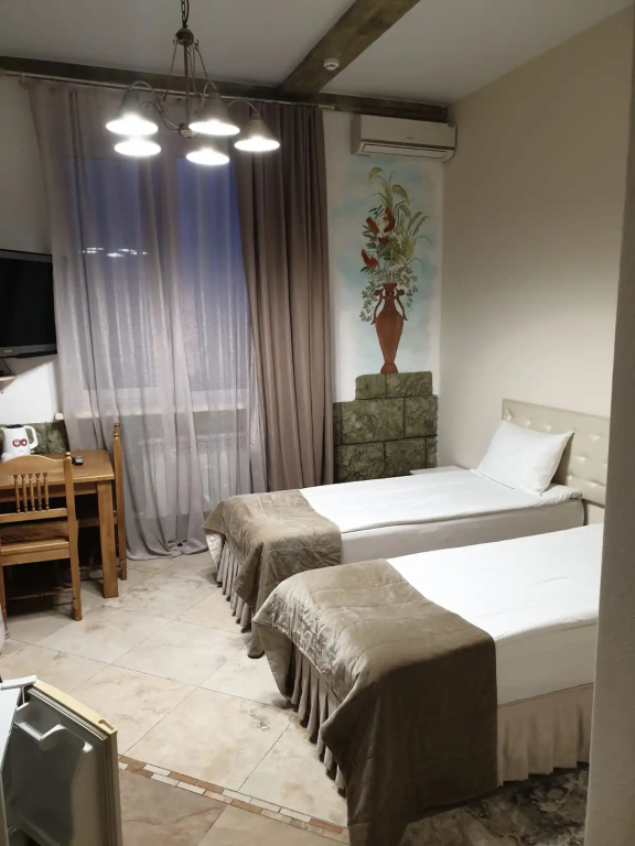Standard Double room (twin beds)