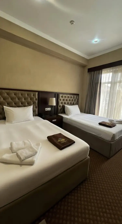 Superior Double room with balcony (twin beds)