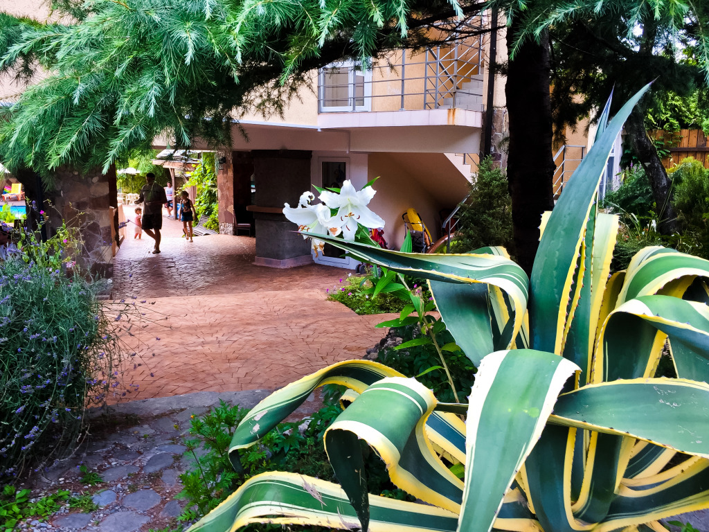 Отель Ламоре - фото 30