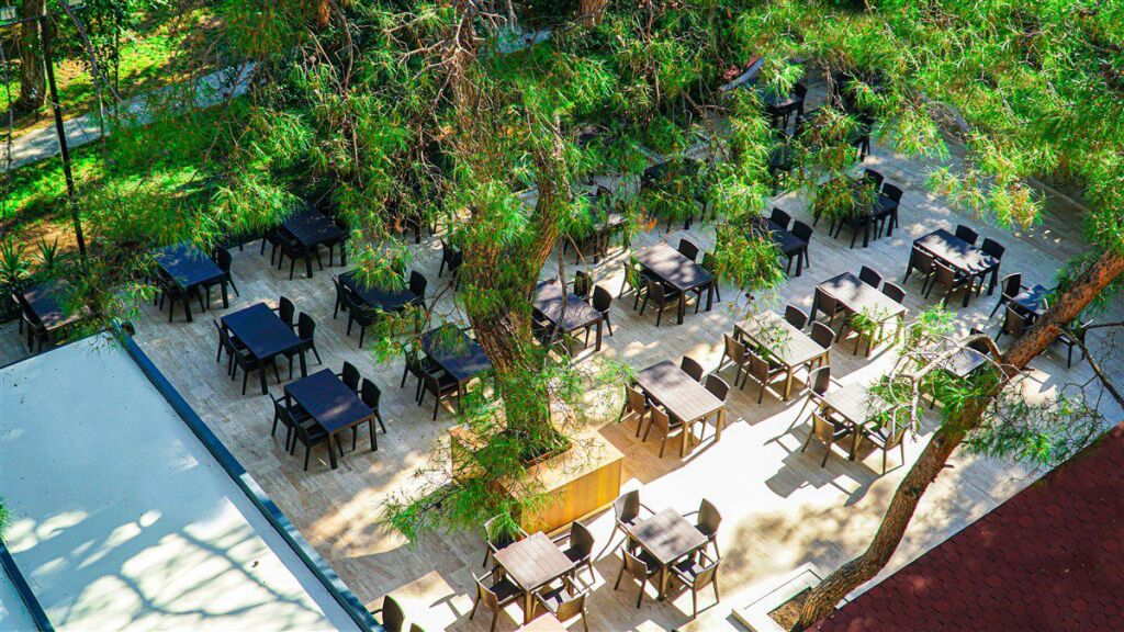 Festival nature hotel ex club. Festival nature hotel ex club