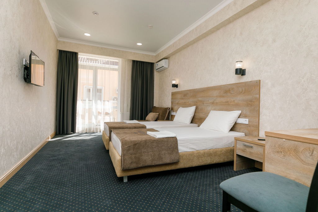 Standard Double room with balcony (twin beds)