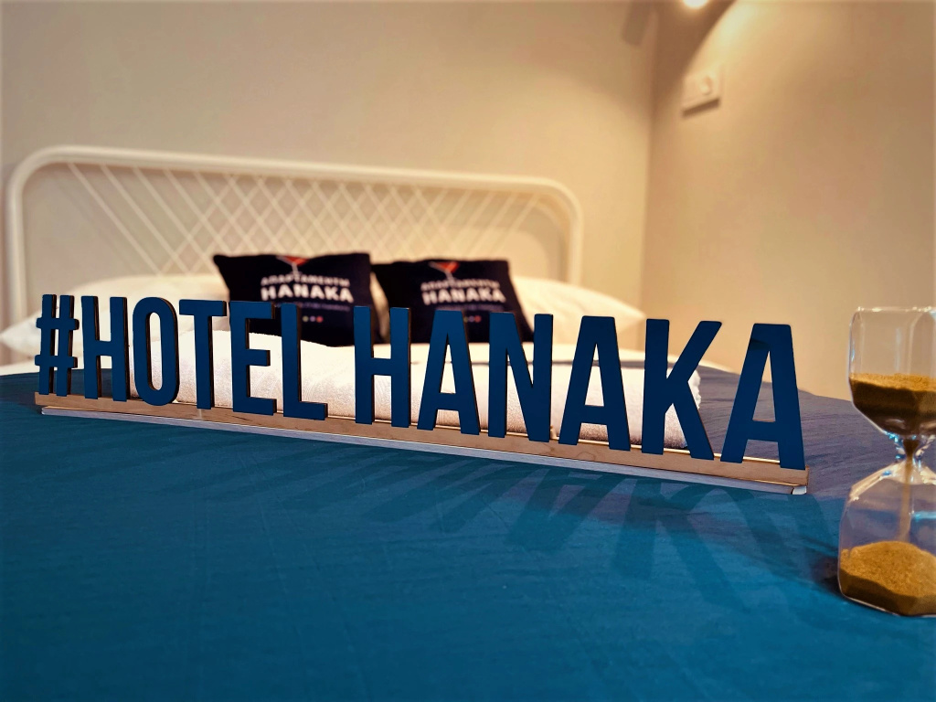 Апартаменты Hanaka на Автозаводской 17к1 №5 — фото