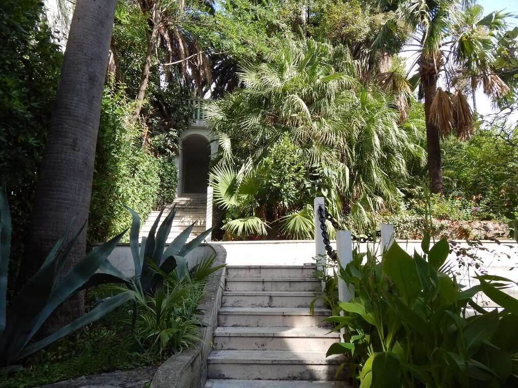 Image 6