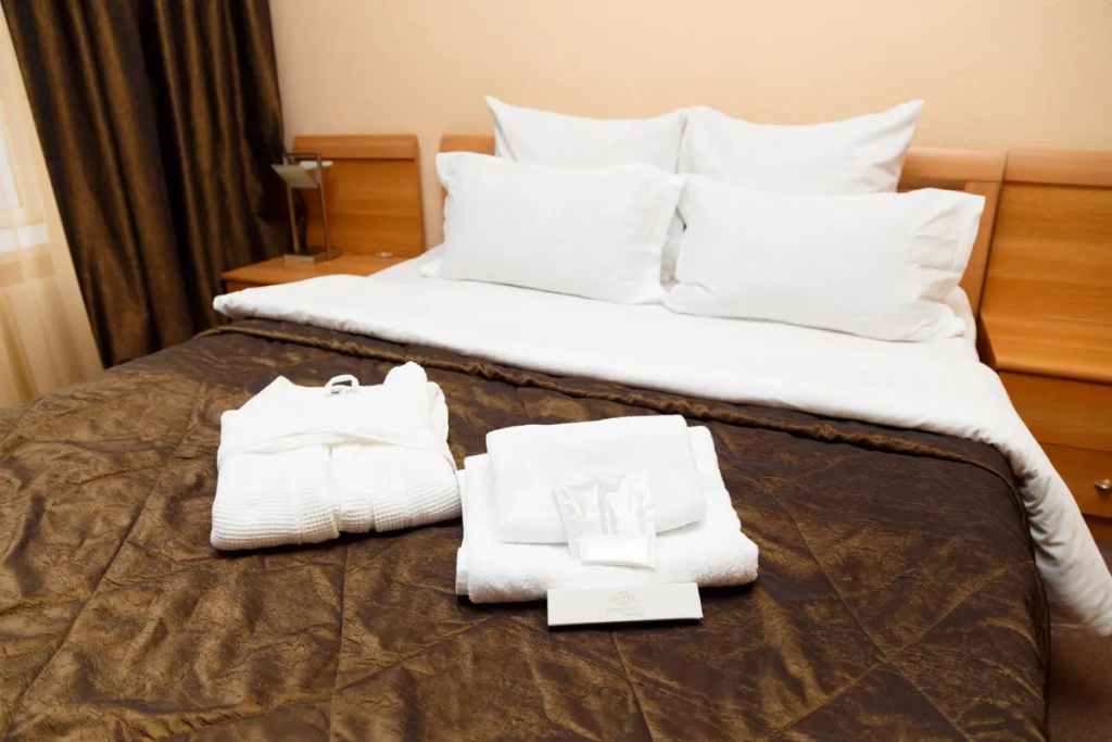 Alioth Hotel Room Type - Double Junior Suite with city view full double bed