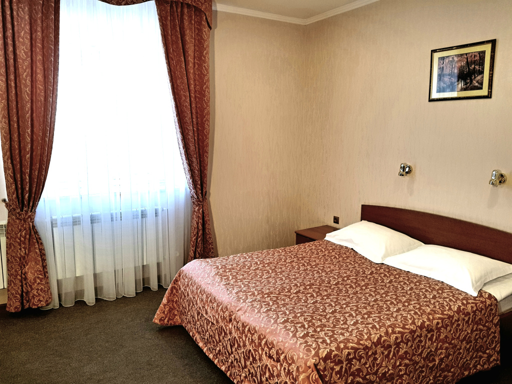 Vizit Hotel Room Type - Standard Double room full double bed