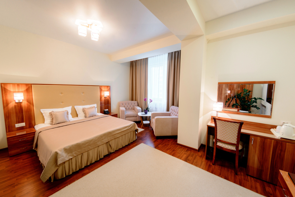 Metropolis Hotel Room Type - Double Studio full double bed