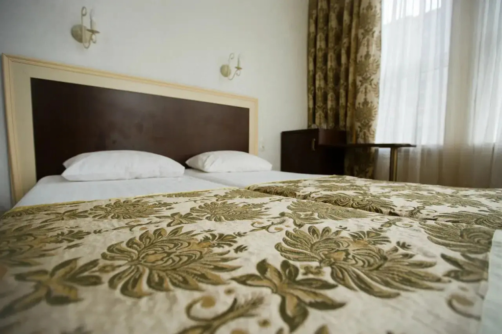 Kremlevskaya Hotel Room Type - Standard Double room twin beds