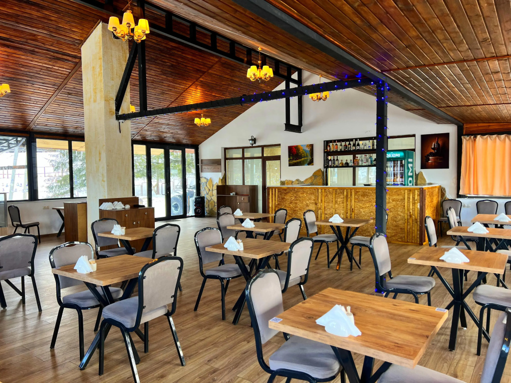 Bakuriani Inn, Бакуріані, Грузія мініатюра 16