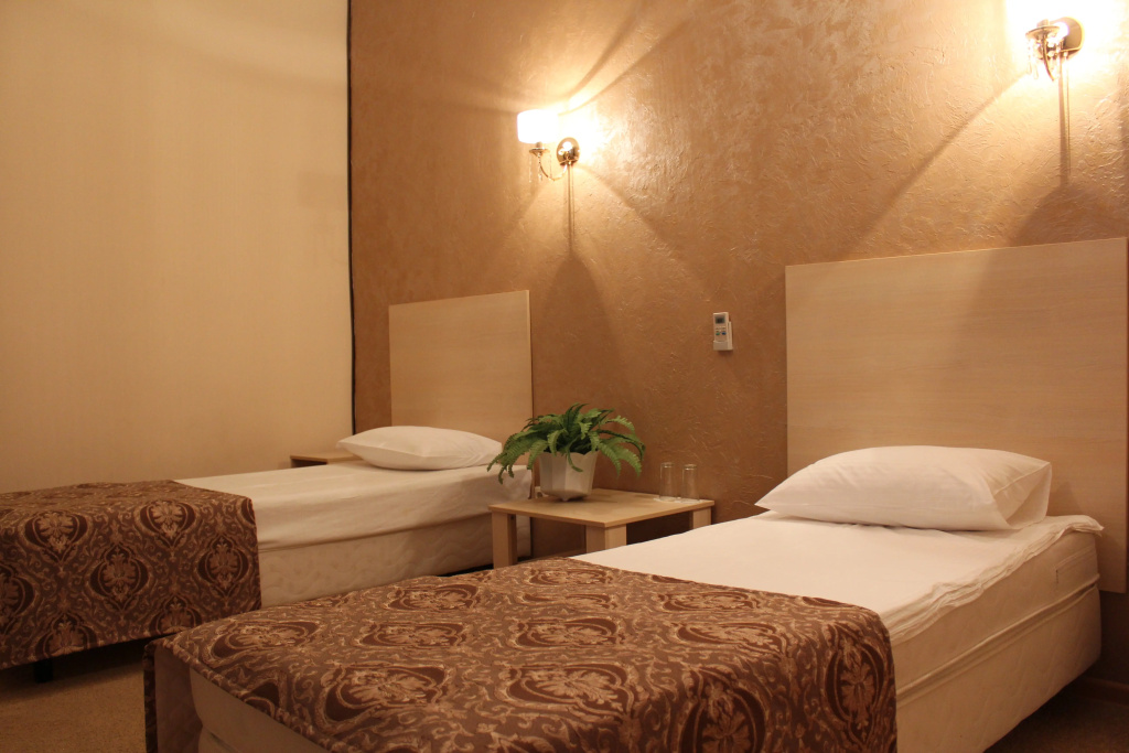 Standard Double room (twin beds)