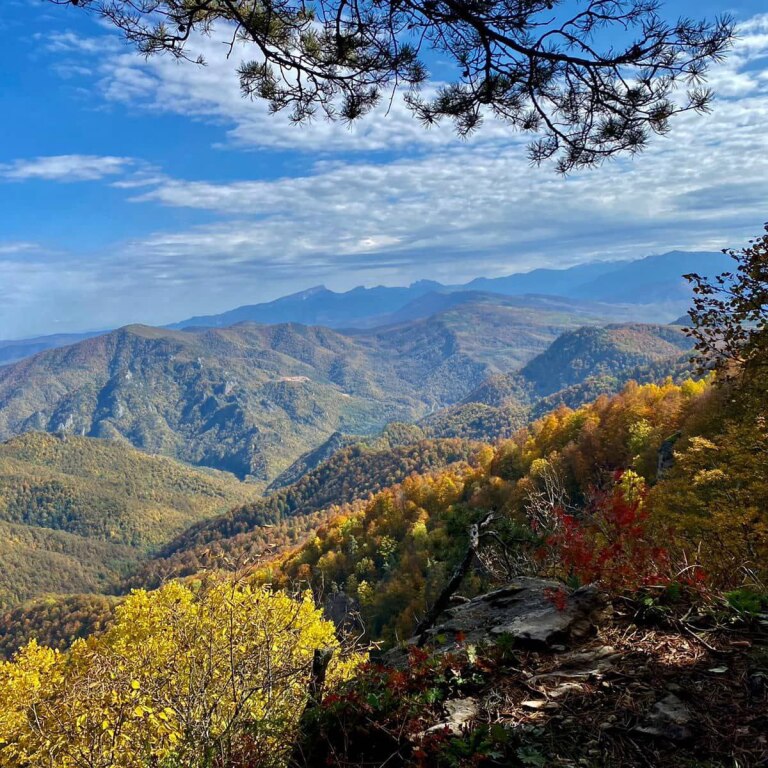 Зелёный Гай Лагонаки Даховская