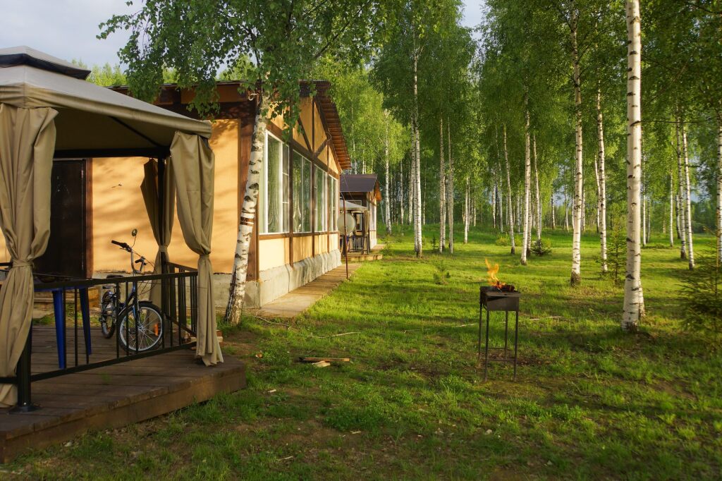 Лесной берег