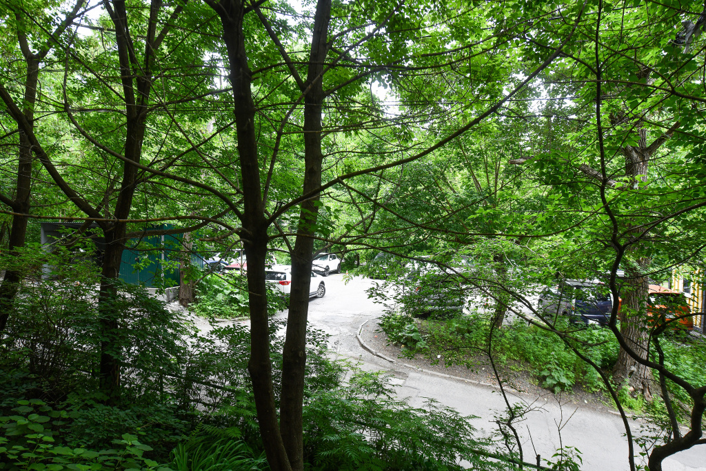 Hotel photo 34