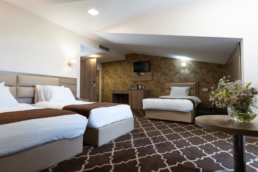 Standard Suite with balcony and with city view