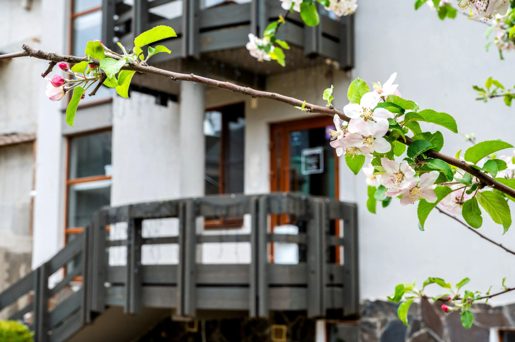 Отель Эльпида - фото 29