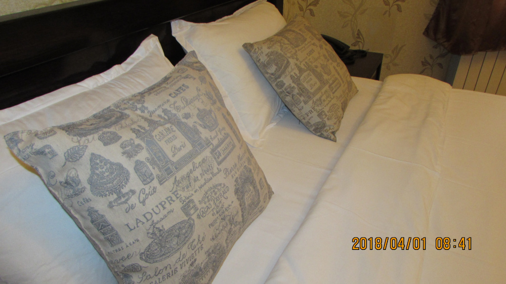 Standard Double room with balcony and with view (full double bed)