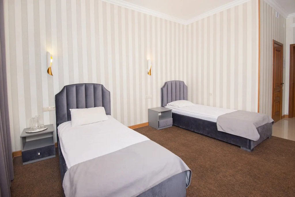Economy Double room (twin beds)