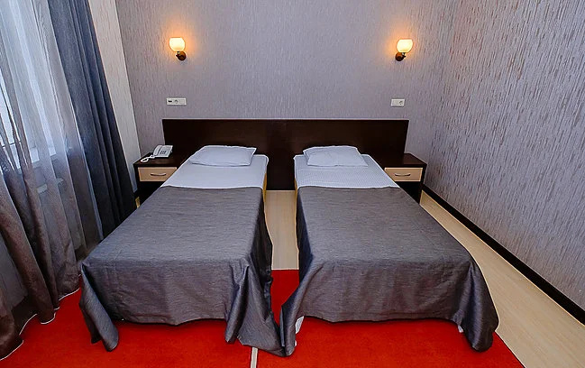 Standard Double room (twin beds)