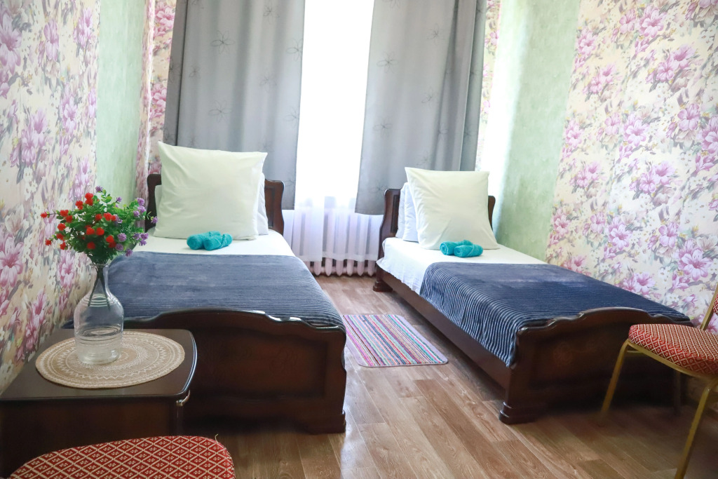 Двухместный номер Economy 2 отдельные кровати в Maxrooms дача Левитана под Плёсом