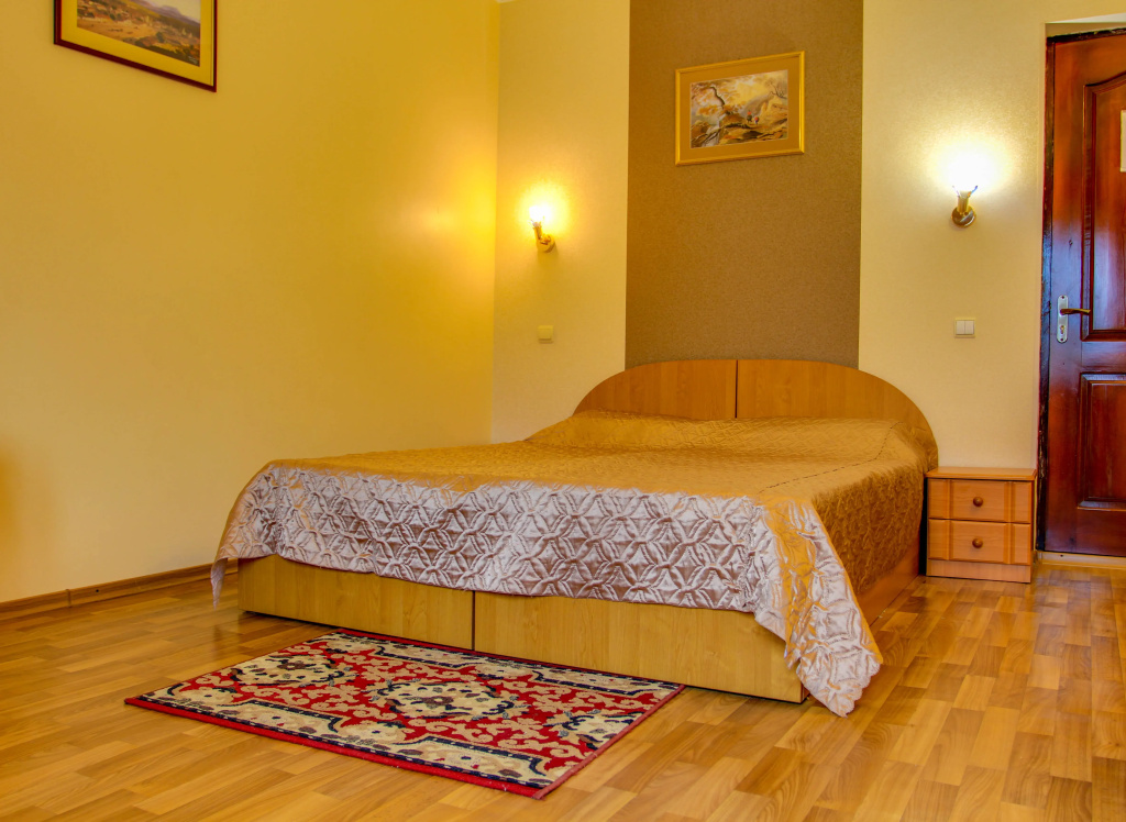 Standard Double room (full double bed)