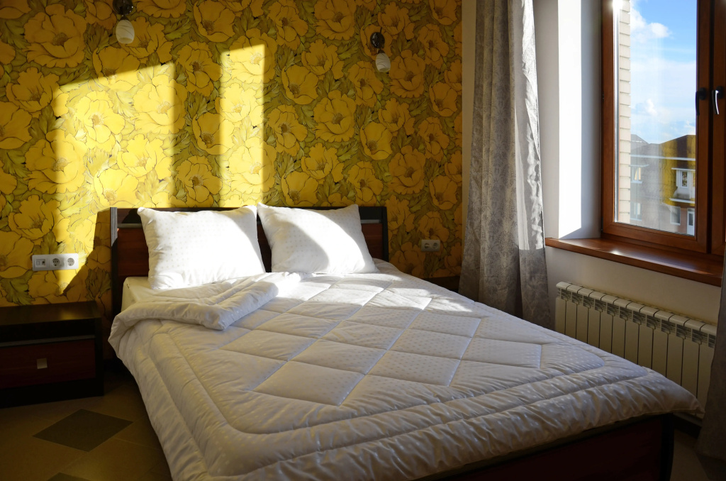 Medovo Hauz Mini-hotel Room Type - Comfort Double room full double bed