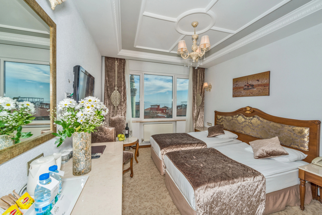 Standard Double room (twin beds)