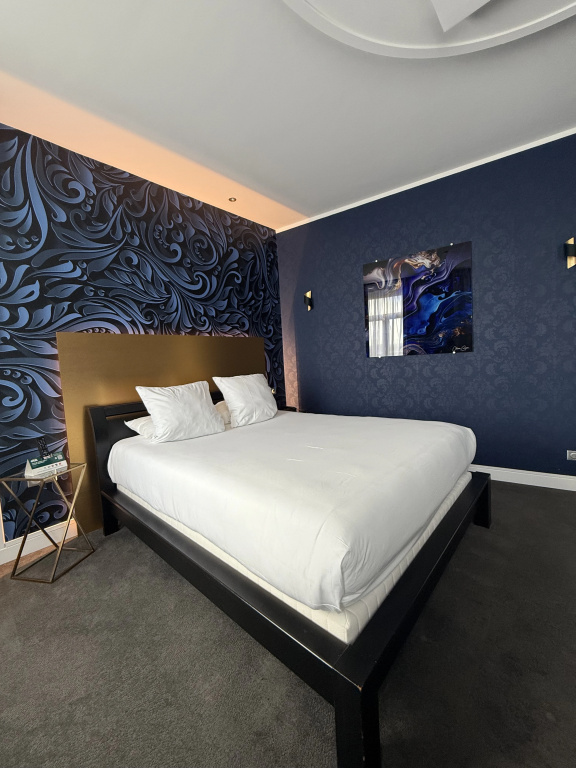 Hotel LOGIS Hôtel Borel - Général