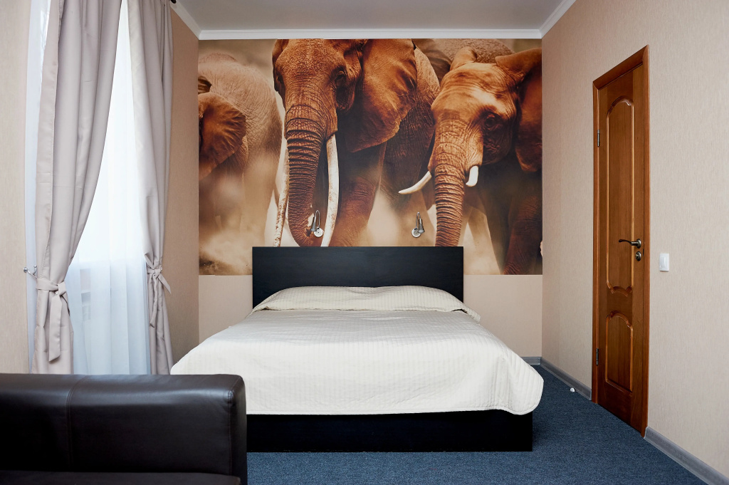 Superior Double room (full double bed)