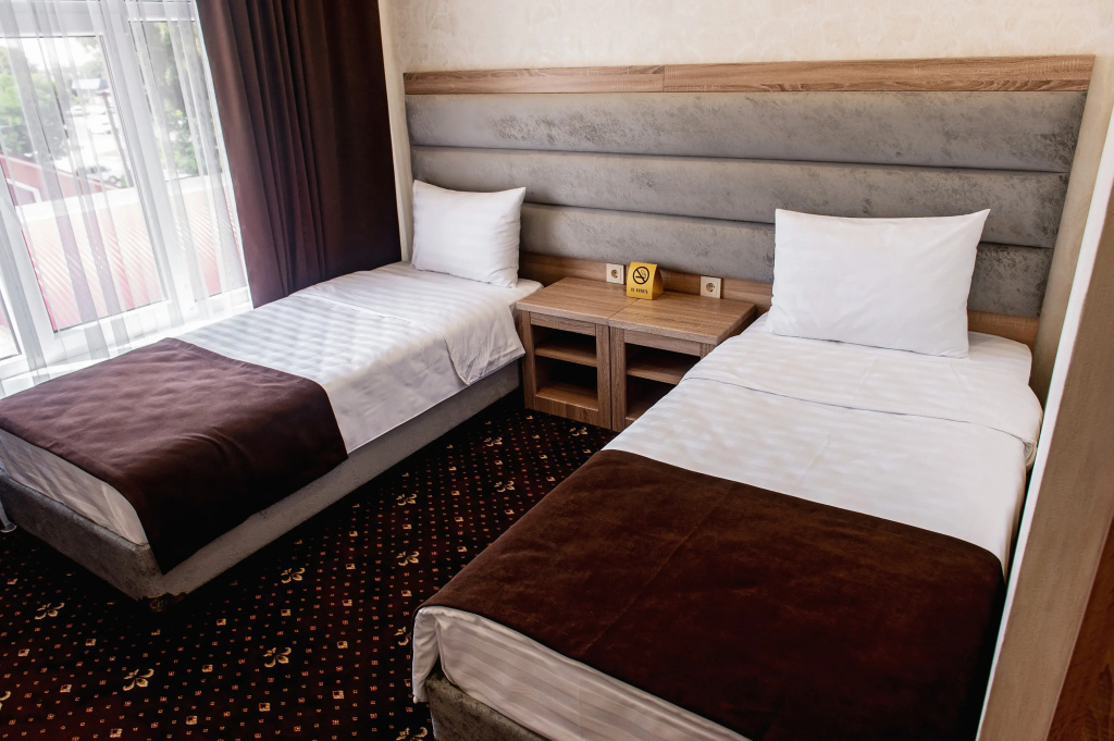 Standard Double room (twin beds)