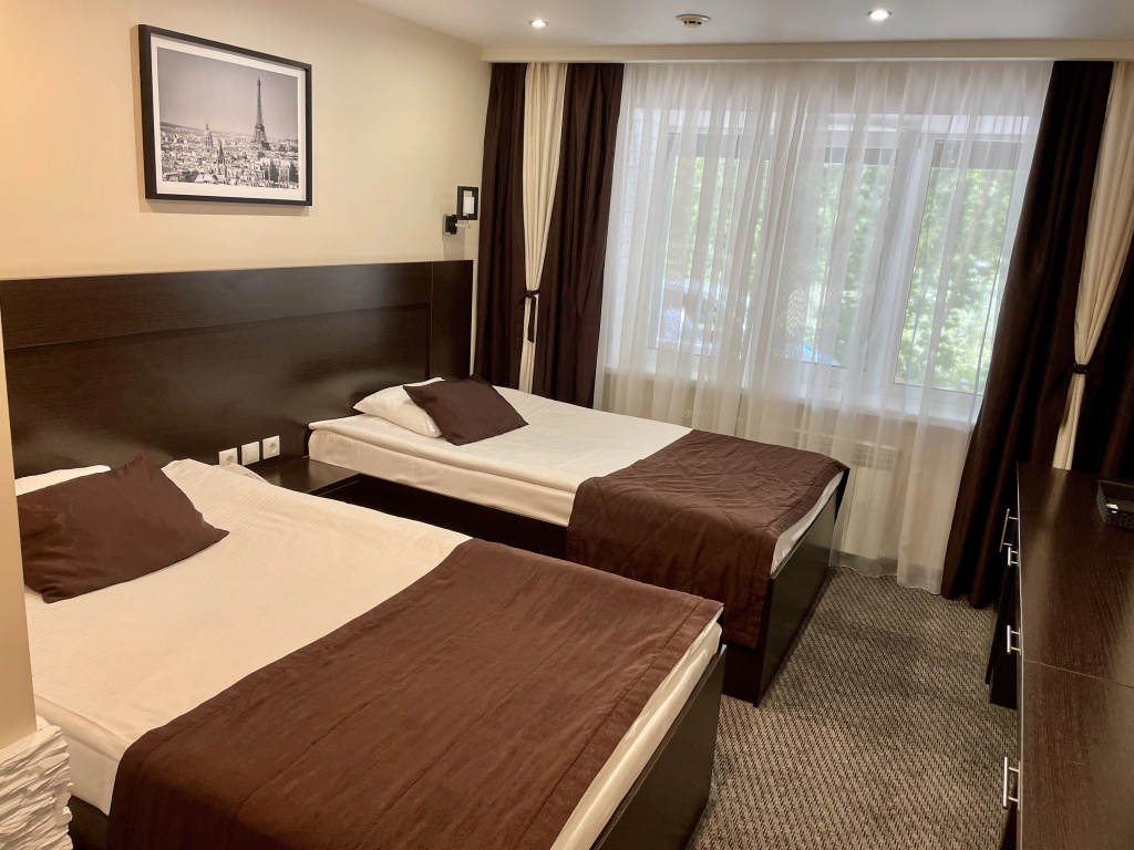 Standard Double room (twin beds)