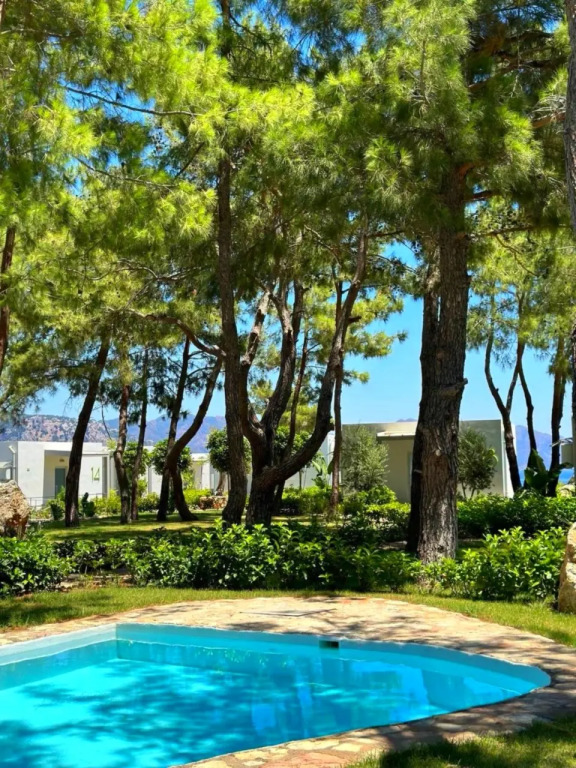 Отель Z-Villas Beach Hotel — фото 5