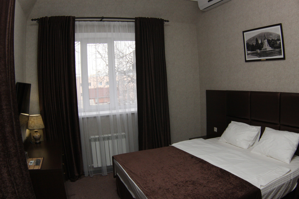 雙人套房,配有雙人床