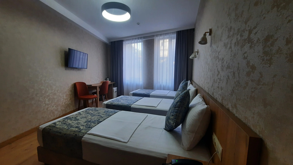Standard Triple room with city view