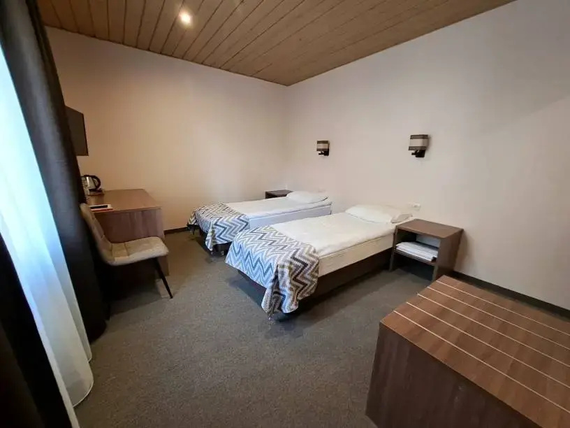 Standard Mini Double room with courtyard view (twin beds)