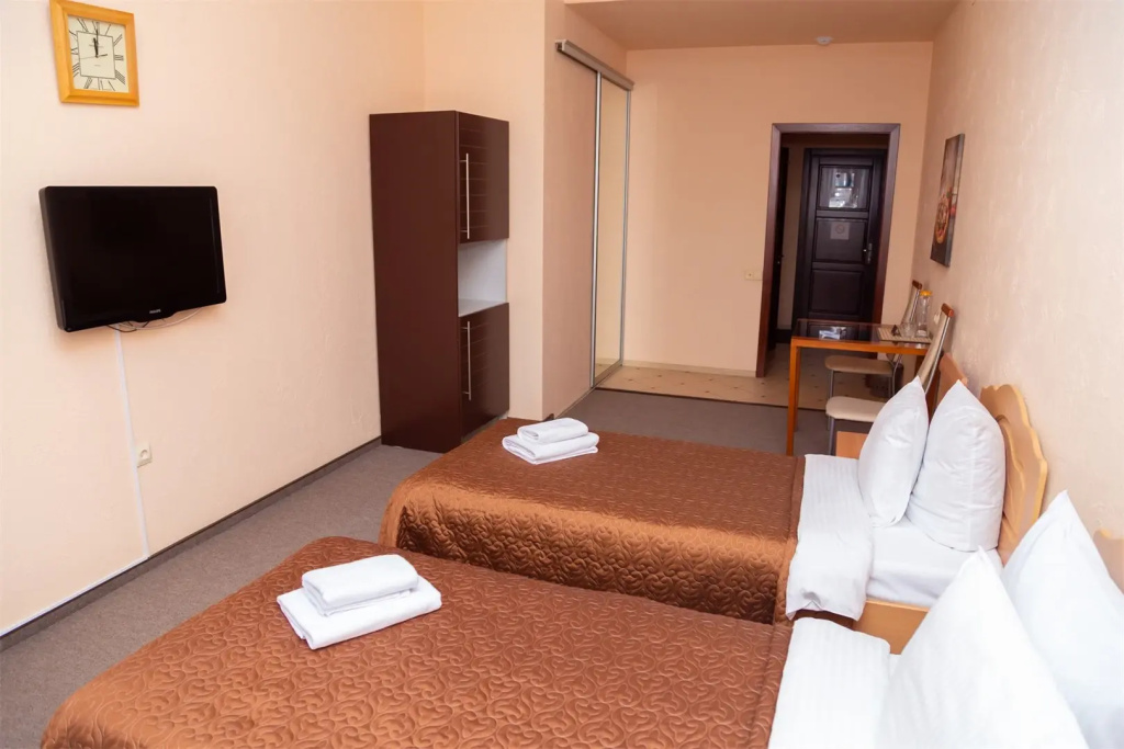 Alioth Hotel Room Type - Standard Double room twin beds