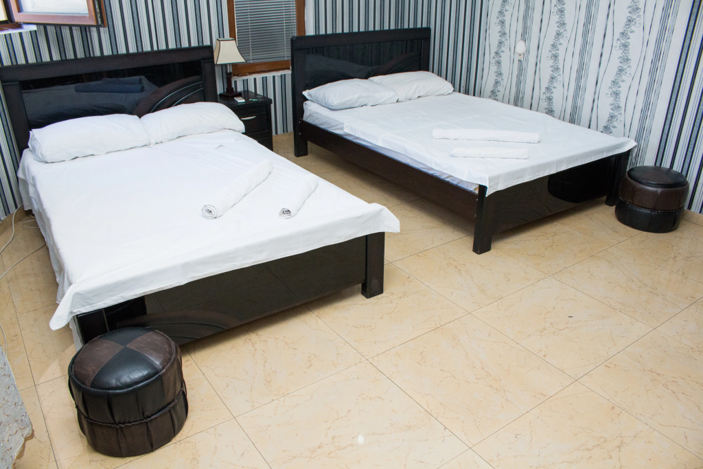 Standard Double room with balcony and with view (twin beds)