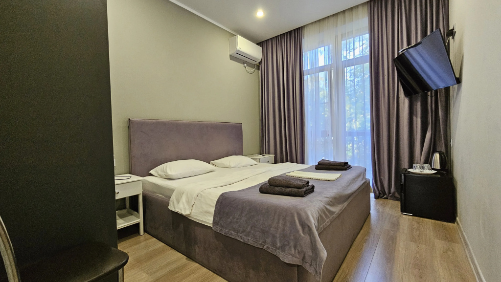 Standard Double room with balcony and with view (full double bed)