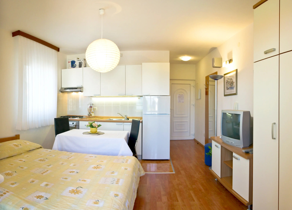 Studio with balcony and with view