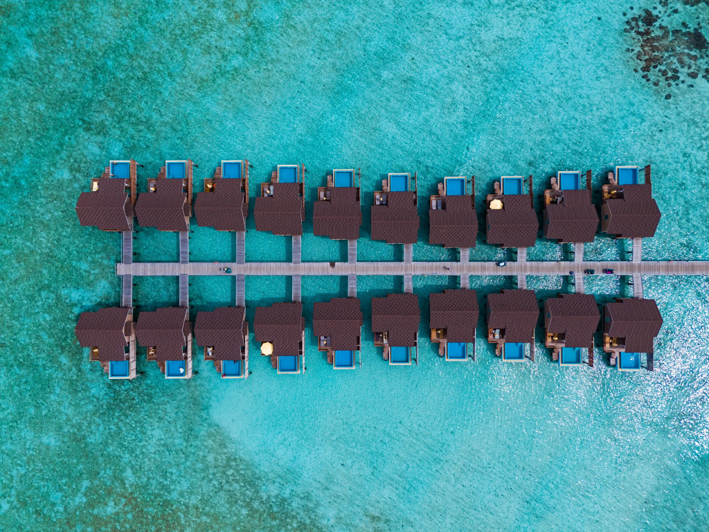 Курортный отель Dhigufaru Island — фото