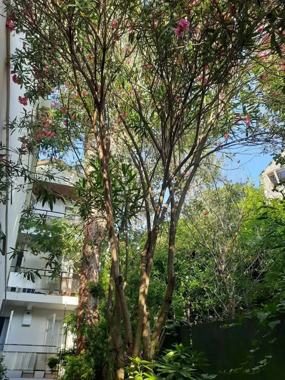 Hotel photo 40