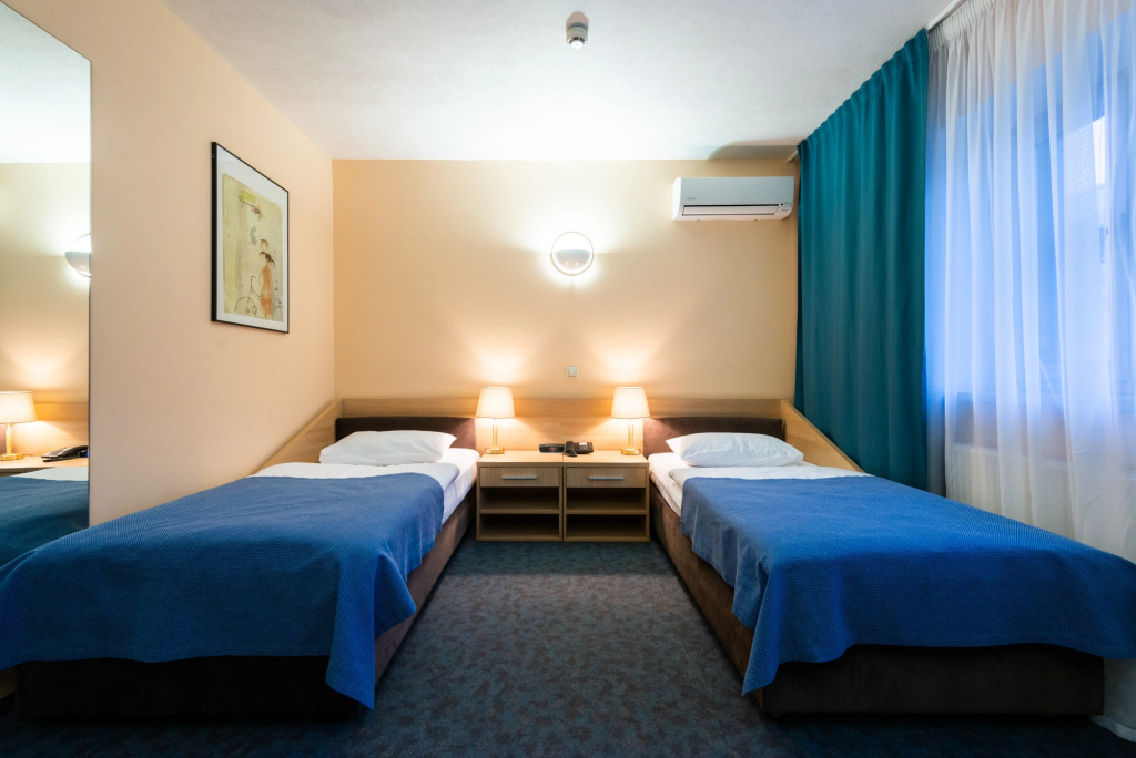 Standard Double room (twin beds)